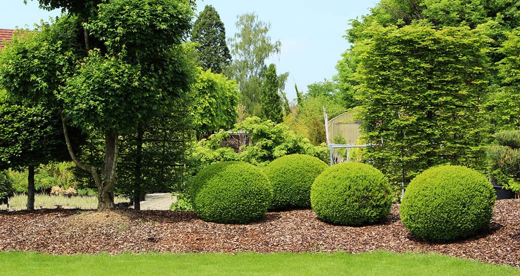 Gartenpflege Siebengebirge